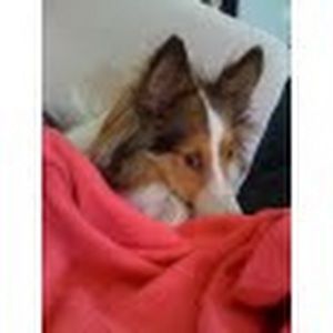 Meet your Posher, Chrissy